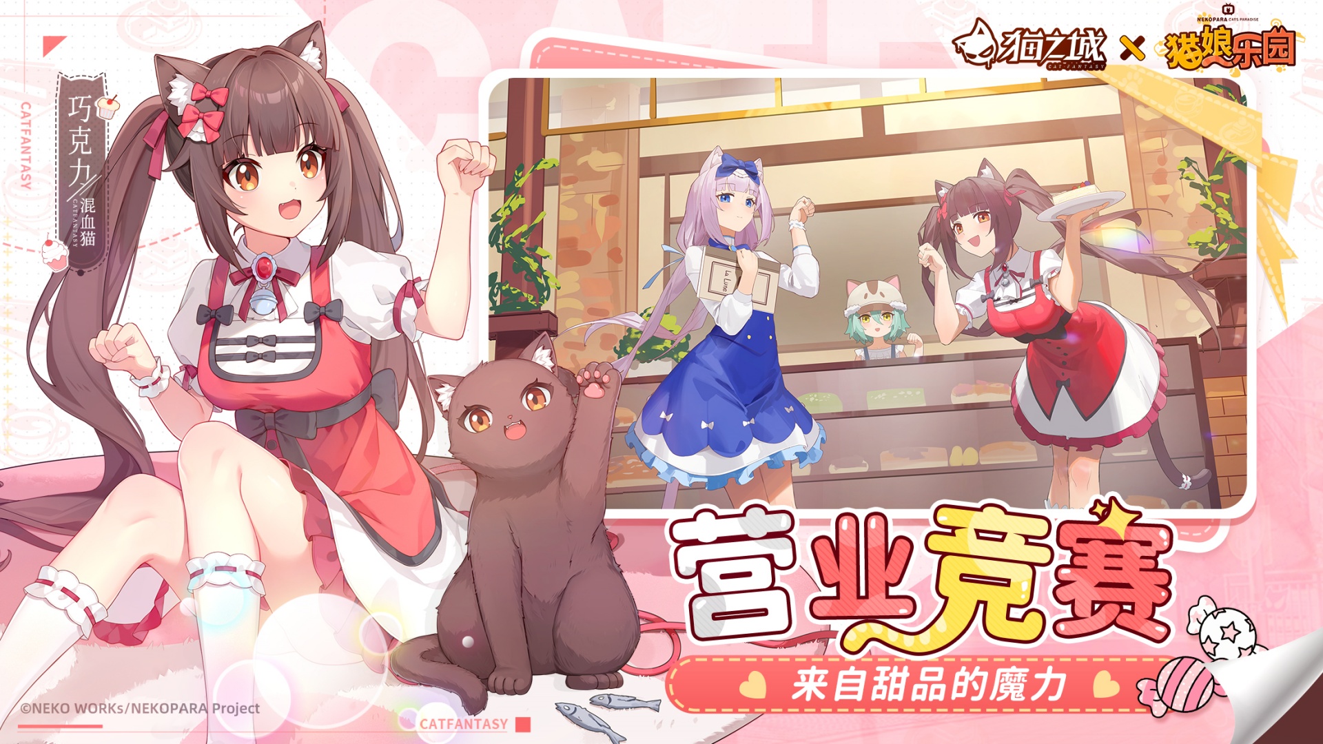 猫之城