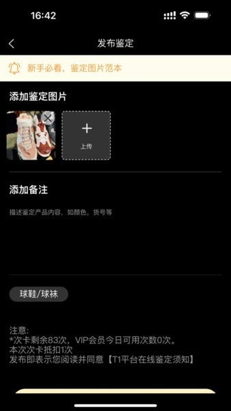 T1鉴定